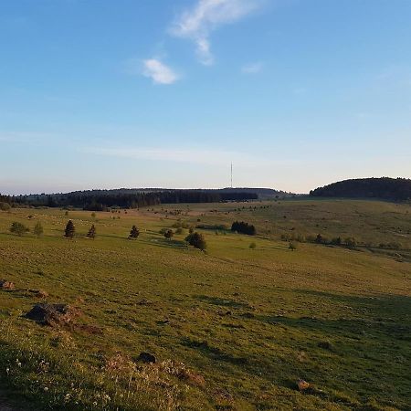 Ferienwohnung Pusteblume Ehrenberg  ภายนอก รูปภาพ