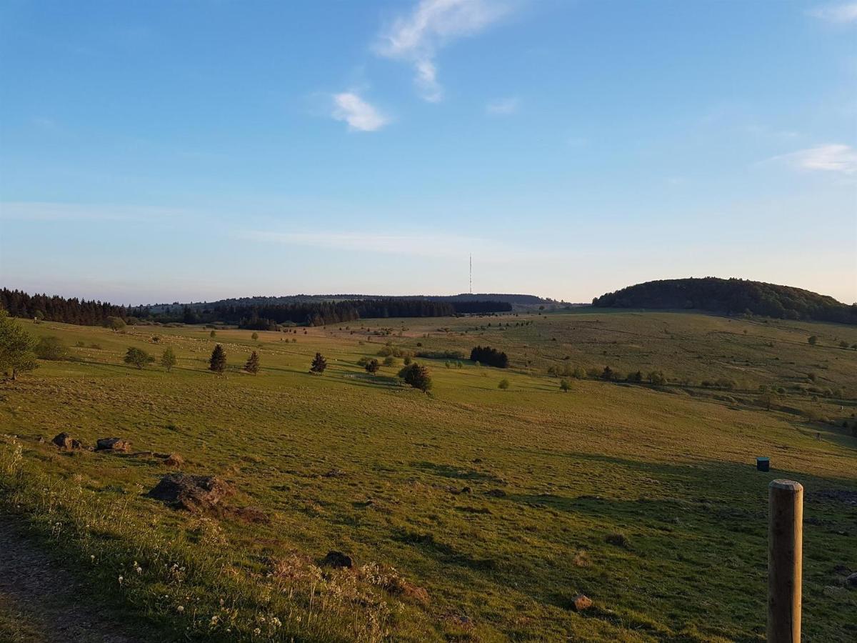 Ferienwohnung Pusteblume Ehrenberg  ภายนอก รูปภาพ